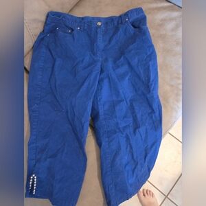 Ruby Rd. Navy Cropped Pants Size 10
